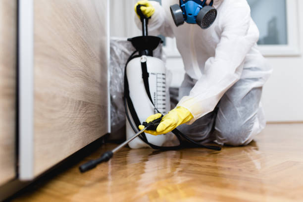 Best Pest Inspection Near Me  in Tamalpais Homestead Valley, CA