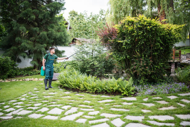 Best Rat Extermination Near Me  in Tamalpais Homestead Valley, CA