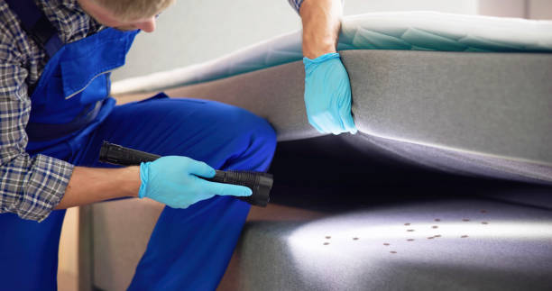 Trusted Tamalpais Homestead Valley, CA Pest Control Experts